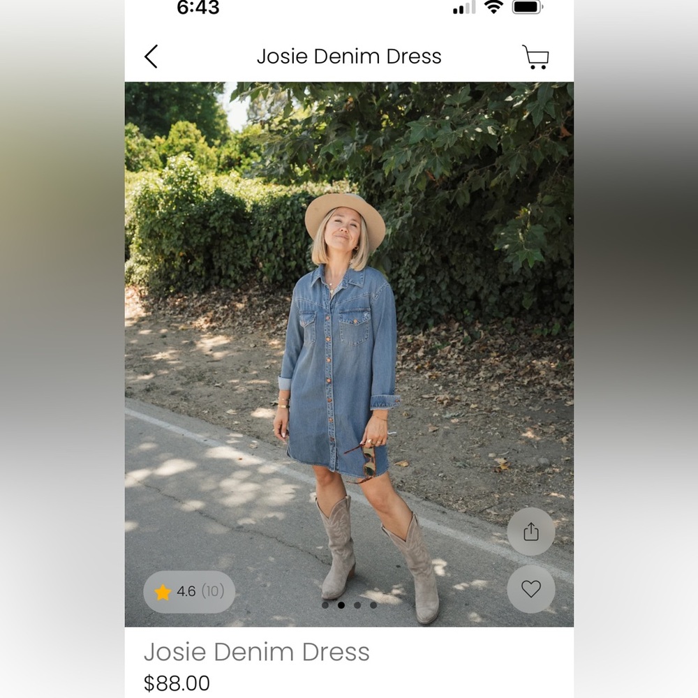 Blue Denim Dress with Button Front